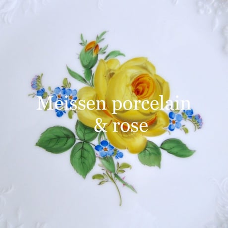 イエローローズ勿忘草（マルセイユ）18.5㎝