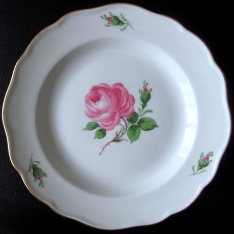 CATEGORY マイセンローズ | Meissen's rose & white porce