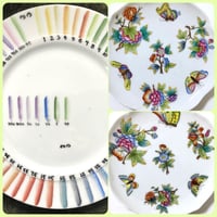 新ビクトリアンバタフライ （絵の具26色セット）