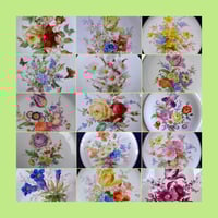 再々販売限定10）マイセンの薔薇写真集31枚セット | Meissen's