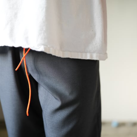 ACTIVE EASY PANTS WOOL TUSSER