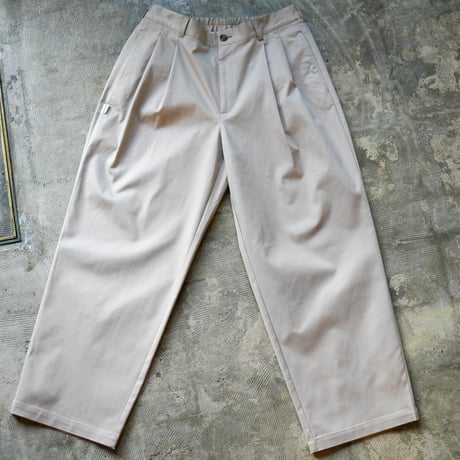 SQUEEZED DESIGN 2TUCK CHINO PANTS