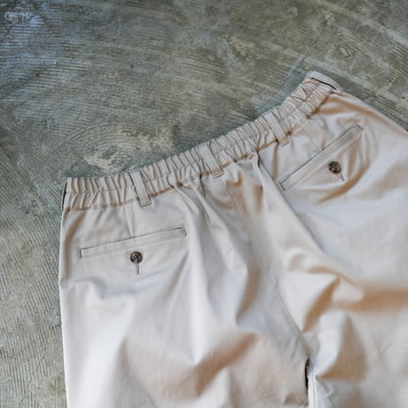 SQUEEZED DESIGN 2TUCK CHINO PANTS