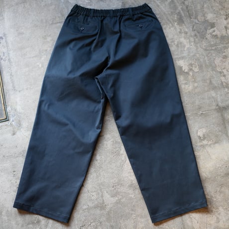 SQUEEZED DESIGN 2TUCK CHINO PANTS