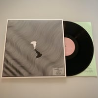In Dreams _ LP