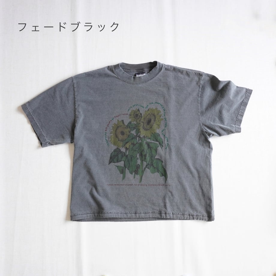 68677a815b90ec3cb7410e80