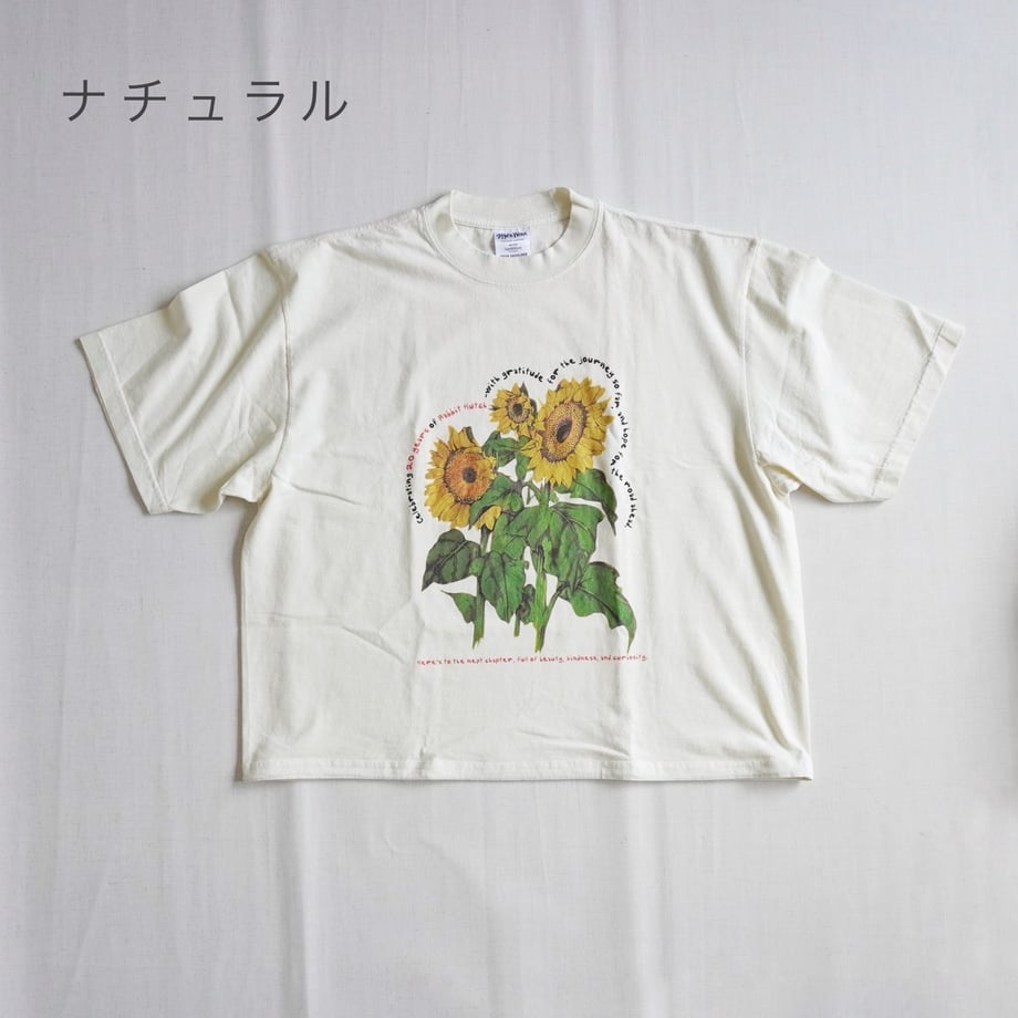 68677a815b90ec3cb7410e80