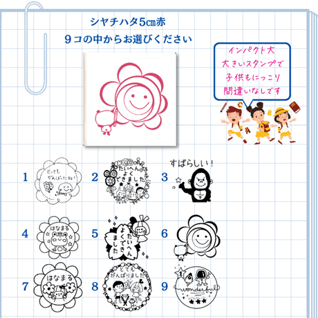 ＼箱付き／リボンちゃんBOX　動物イラスト先生セット