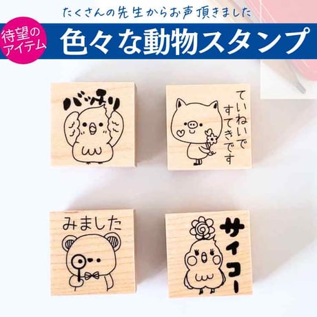 CATEGORY 先生スタンプ | かょのこ SHOP