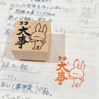 3cmサイズ　ココ大事