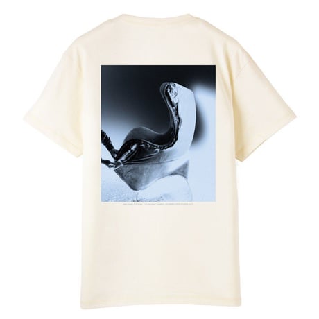 Chairs Exposed " Egg" Short Sleeve Crew T