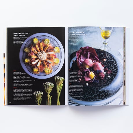 Neo Vegetarian Cooking 2