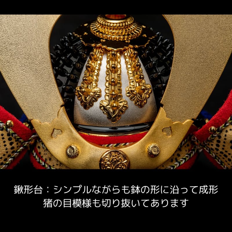 の*ん様 ❤️開花株❤️6号❤️ワサワサ充実株❤️♈️792⭐️大人アンティーク 10月8日 白蝶草 . . . イラスト等の無断転載・使用はご遠慮