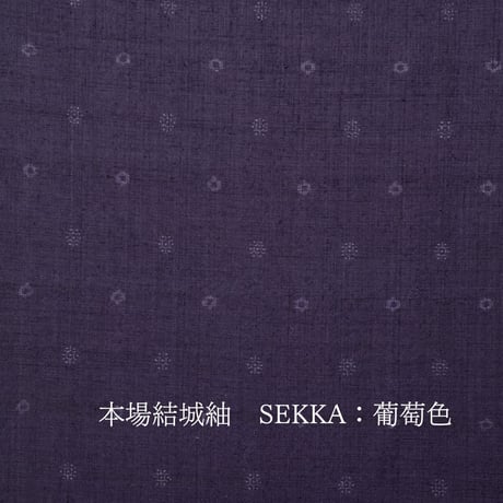 10号　ぼたん　本場結城紬  SEKKA(葡萄色)：桜華 光琳蔦ケース飾り
