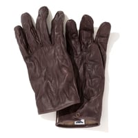 染 Sen　DARK BROWN　［5 Days］