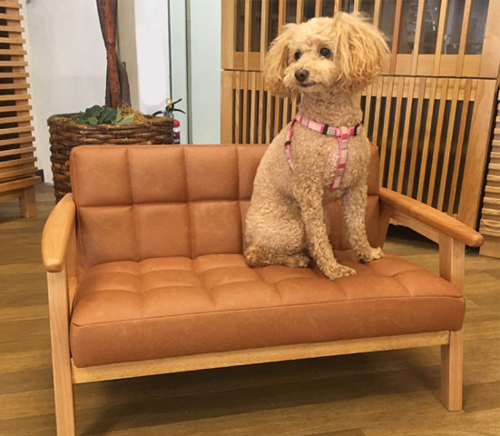 もふもふ　ねこ用ソファーベンチ ペットソファ 猫 ソファ 傷に強い おしゃれ ペット ねこ ネコ 犬