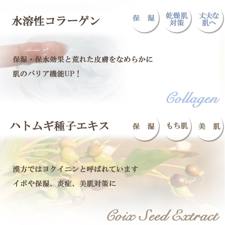 5c557d9ee73a2550570c7762