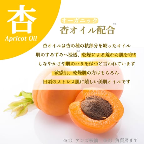 【セット割】アプリコットオイル配合KOKOROクレンジングフォーム ×2個セット