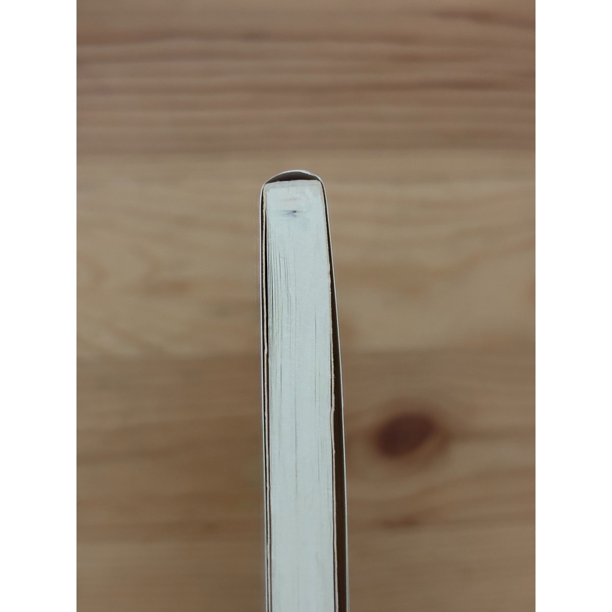 宮沢章夫 彼岸からの言葉 【単行本】 彼岸からの言葉 | 宮沢 章夫 |本