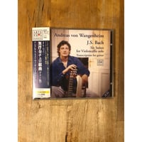 Noon Chill アート・リンゼイ（国内盤CD、グート） | ファーイースタン