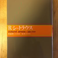 チェコ音楽の歴史―民族の音の表徴 内藤久子 音楽之友社 | ファー
