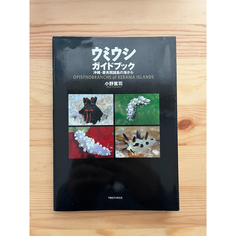 ウミウシガイドブック―沖縄・慶良間諸島の海から 小野篤史 TBS