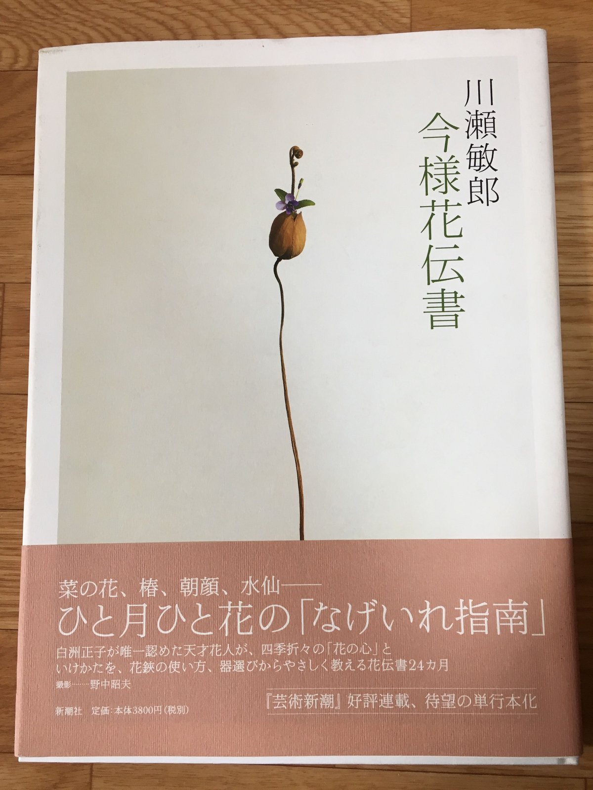 川瀬敏郎　今様花伝書 川瀬敏郎 今様花伝書 | 新潮社 | nostos books ノストスブックス