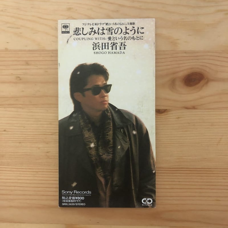 90 フジテレビ・ドラマ主題歌特集③〉浜田省吾 悲しみは雪のように