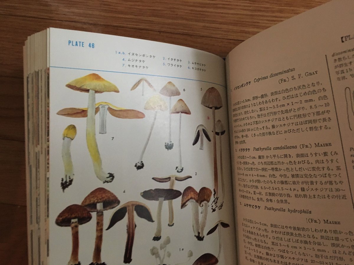 標準原色図鑑全集 全21巻（揃） 保育社 | ファーイースタン