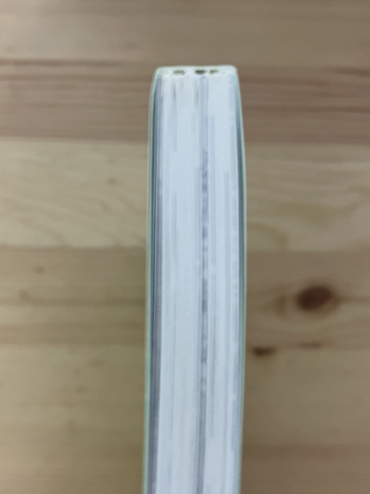 ネコカッパ　逆柱いみり　B5 逆柱いみり「NEKOKAPPA ネコカッパ」 - タコシェオンラインショップ