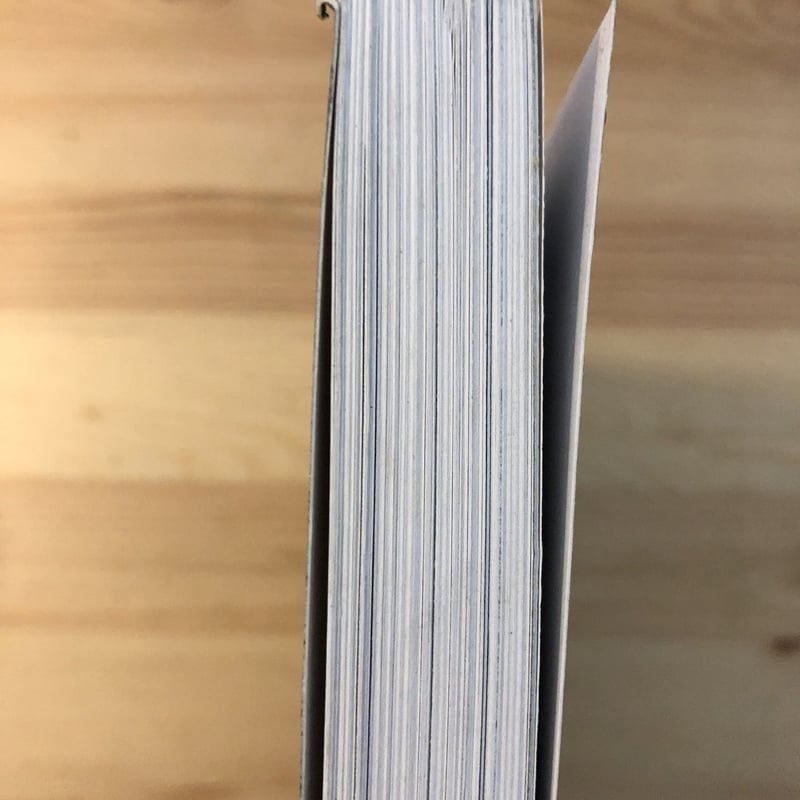 RICHARD LONG R.H FUCHS（編） Thames&Hudson（洋書、英語）