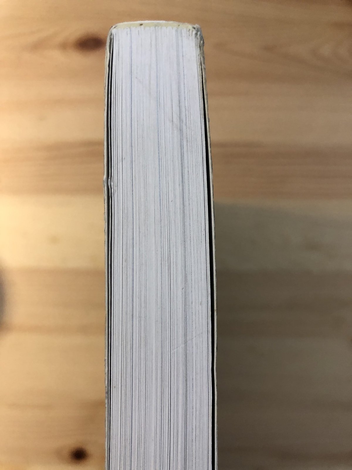 RICHARD LONG R.H FUCHS（編） Thames&Hudson（洋書、英語）