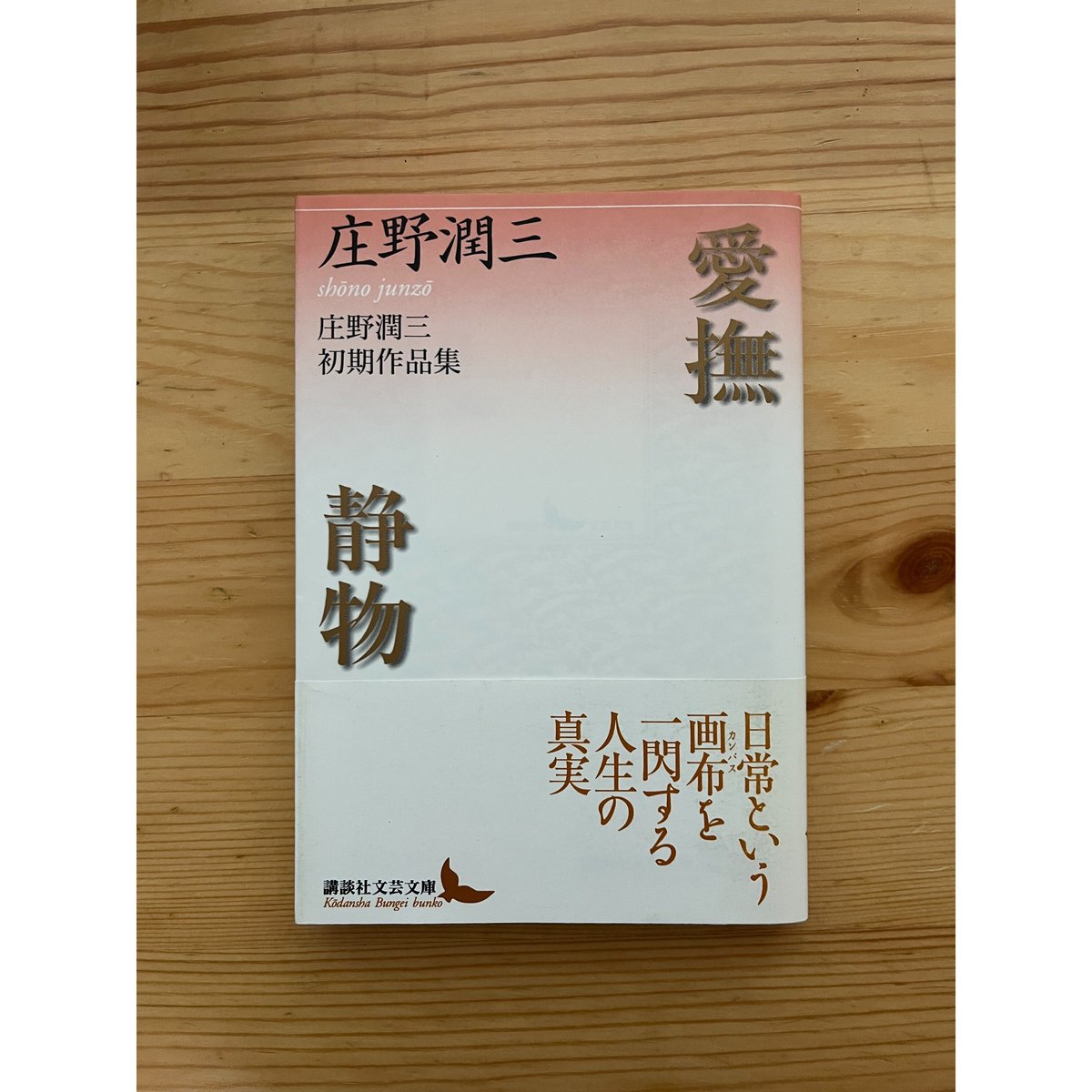 愛撫・静物 庄野潤三初期作品集 講談社文芸文庫 | ファーイースタン