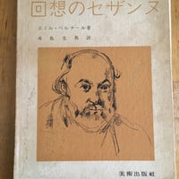 ダムタイプ／pH（VHS） | ファーイースタン・オールドブックス通信販売部