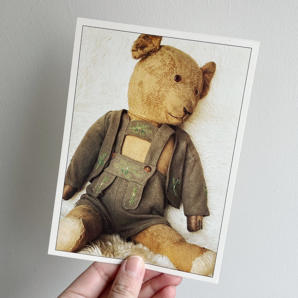 used teddy bear post card | ANNA