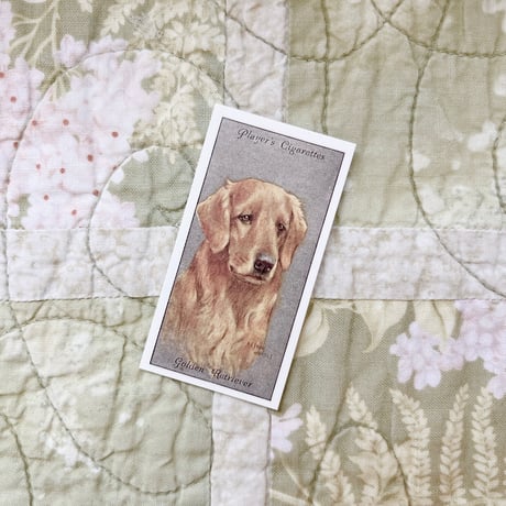 antique dog card No.21-30