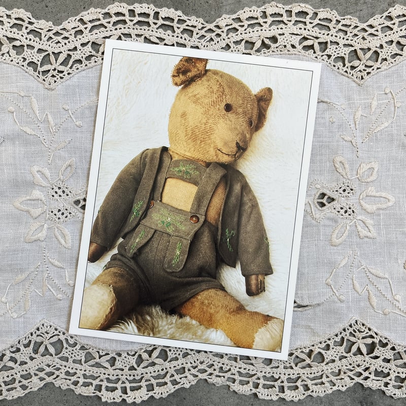 used teddy bear post card | ANNA