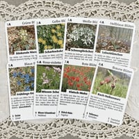 vintage botanical card