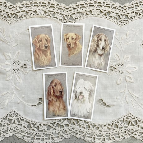 antique dog card No.21-30