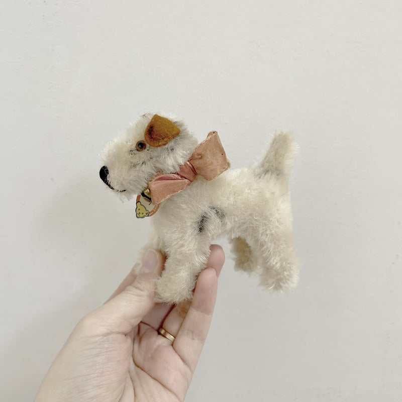 antique Steiff dog foxy | ANNA