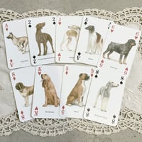 dog trump card