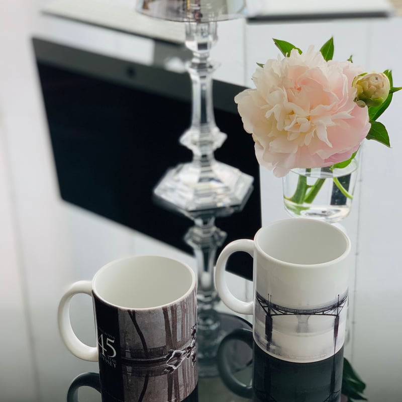 A 45 YEAR ODYSSEY (Mug) 】White Bird Flying,