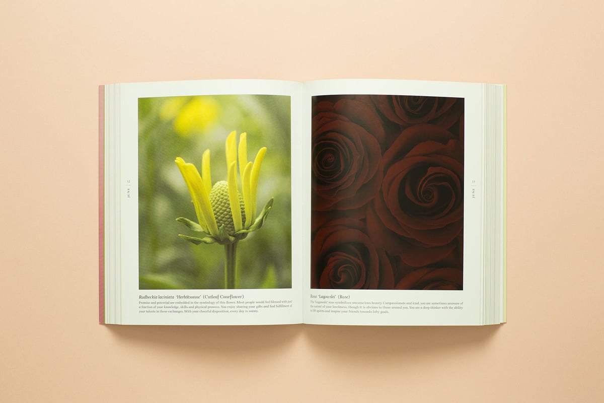 A BLOOM A DAY 】Ron van Dongen サイン本 ビンテージ | RA