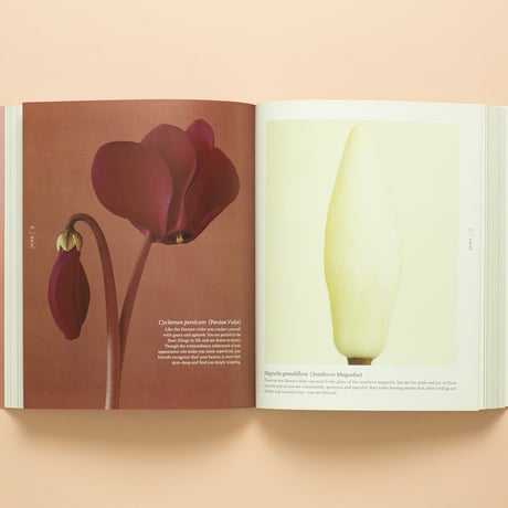 【 A BLOOM A DAY 】Ron van Dongen サイン本　ビンテージ