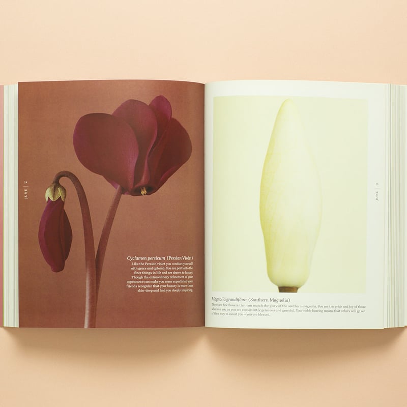 A BLOOM A DAY 】Ron van Dongen サイン本 ビンテージ | RA