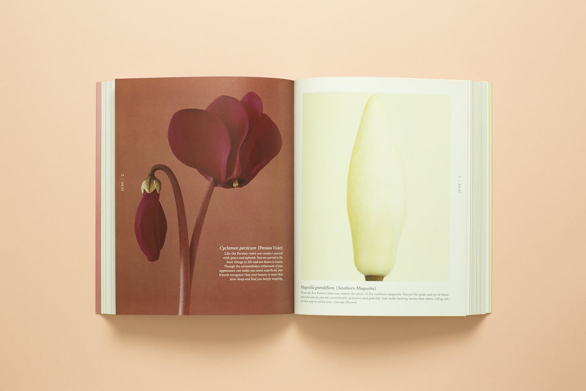 A BLOOM A DAY 】Ron van Dongen サイン本 ビンテージ | RA