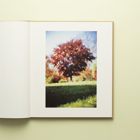 【 Between Maple and Chestnut 】Terri Weifenbach 　コレクターズアイテム