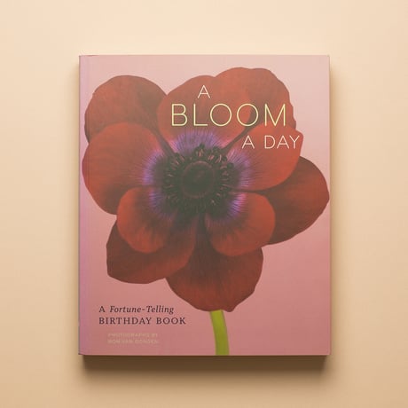 【 A BLOOM A DAY 】Ron van Dongen サイン本　ビンテージ