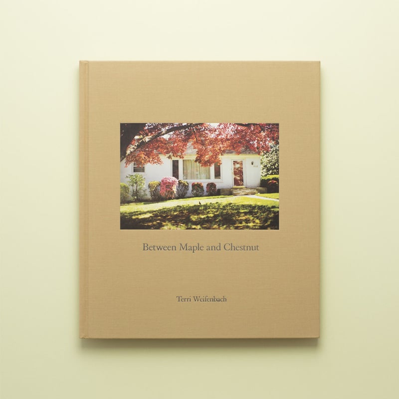 Between Maple and Chestnut 】Terri Weifenbach Between Maple and Chestnut 】Terri Weifenbach