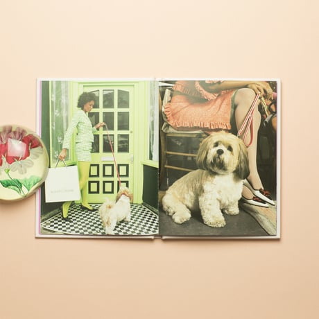 【 Poodle Parlour: One Picture Book #47 】Nancy Honey